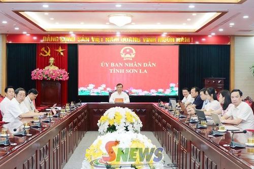 Bàn giải pháp giải quyết tình trạng thừa, thiếu giáo viên gắn với nâng cao chất lượng đào tạo sư phạm