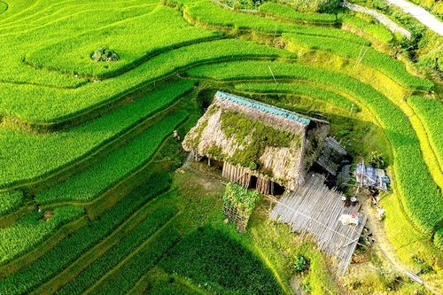 Xà Phìn, mùa vàng dưới mái rêu xanh