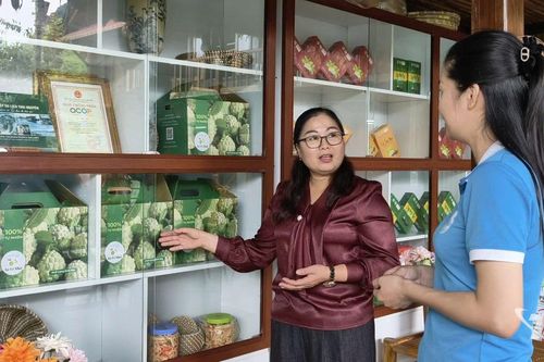Những nữ đảng viên tiên phong làm kinh tế ở Võ Nhai