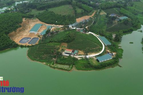 Nghệ An phát triển cây con chủ lực (Bài 1): Luận chứng khoa học về sức chứa môi trường và mô hình nông nghiệp tập trung