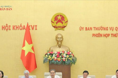 Không chạy theo số lượng, không vì nhu cầu riêng