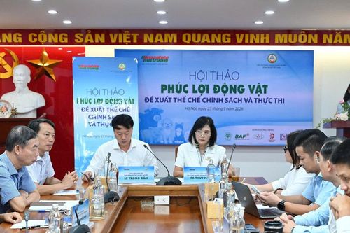 Phúc lợi động vật thiếu tiêu chí thực thi
