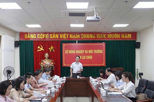Lai Châu phát triển sản phẩm OCOP đi vào chiều sâu