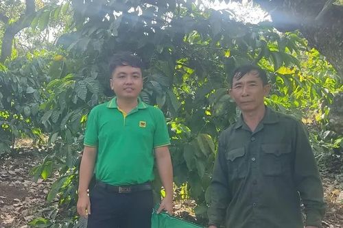 Nông dân Bom Bo thay đổi cách trồng cà phê