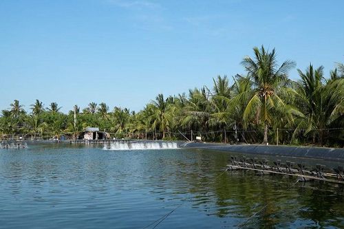 Đổi mới để bảo hiểm đến gần hơn với người dân