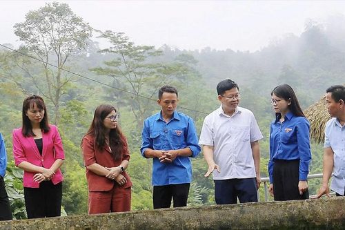 Người trẻ vùng cao làm giàu từ những mô hình HTX