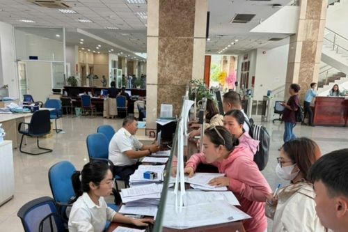 Khoảng 4.000 người dân bỗng dưng trở thành doanh nghiệp hoặc hộ kinh doanh
