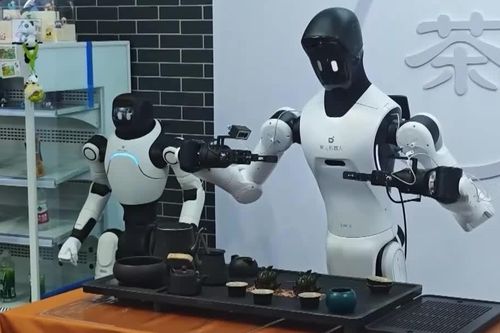 Trung Quốc: Robot trình diễn tại Triển lãm Trung Quốc - ASEAN
