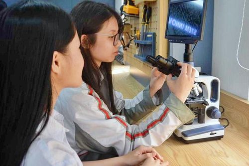 Giáo dục Quảng Ninh ưu tiên thực hành STEM, trang cấp thiết bị dạy và học hiện đại