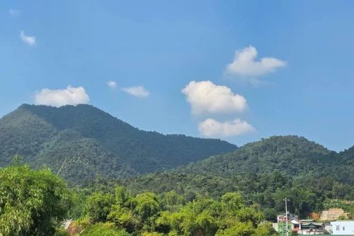Ngày 25/9, thời tiết trong tỉnh không mưa, sáng sớm có sương mù nhẹ, ngày trời nắng