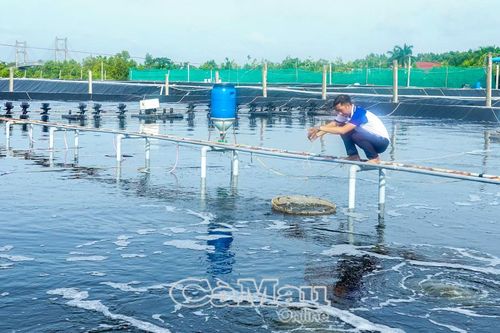 Nông nghiệp, thuỷ sản giữ đà tăng trưởng
