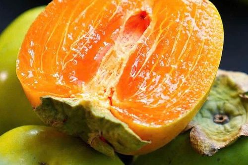 'Lộc trời' mỗi năm chỉ có một mùa, nhìn ngoài 'xanh lè' tưởng chưa chín, bổ ra ruột dẻo giòn như thạch, hàng tuyển gần 200.000 đồng/kg