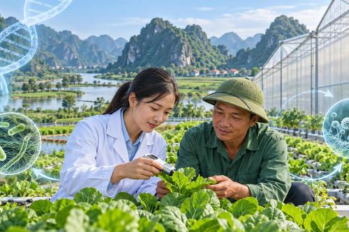 Ninh Bình phát triển công nghiệp sinh học trong nông nghiệp