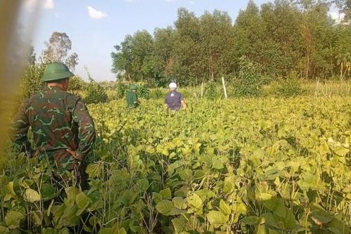 Đà Nẵng: Hành trình đưa 3 liệt sĩ trở về sau hơn nửa thế kỷ