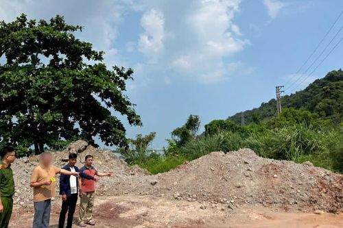 Khởi tố một tổng giám đốc ở Quảng Ninh