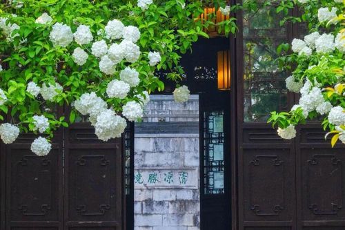 Tháng sinh Âm lịch của người có tính cách ấm áp, sống khiêm nhường nên dễ gặp quý nhân