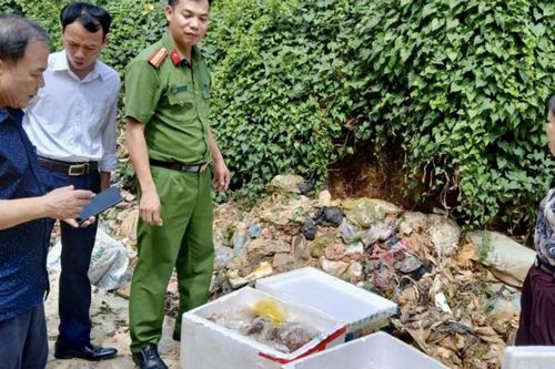 Xử lý 17 vụ vi phạm thị trường dịp Tết Trung thu