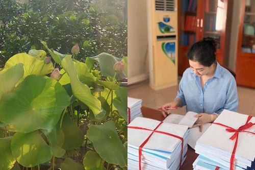 Khoảnh khắc bình dị của Hoa hậu Nguyễn Thị Huyền