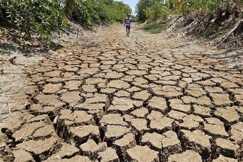 Các kịch bản của El Nino tác động rất mạnh đến nước ta