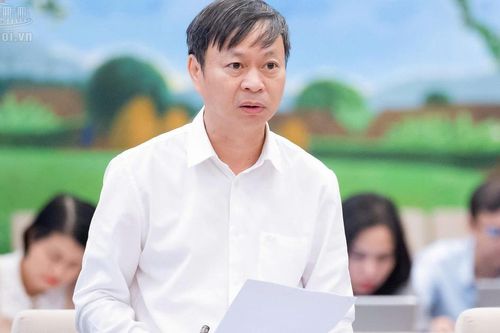 Đề xuất bãi bỏ 18 thủ tục hành chính trong lĩnh vực sở hữu trí tuệ