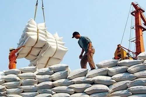 Quy định mới về điều kiện kinh doanh xuất khẩu gạo