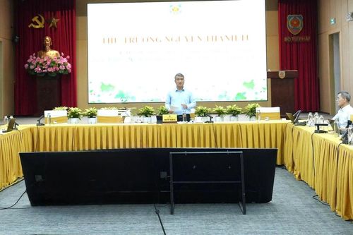 Không đơn giản khi lựa chọn luật sư công