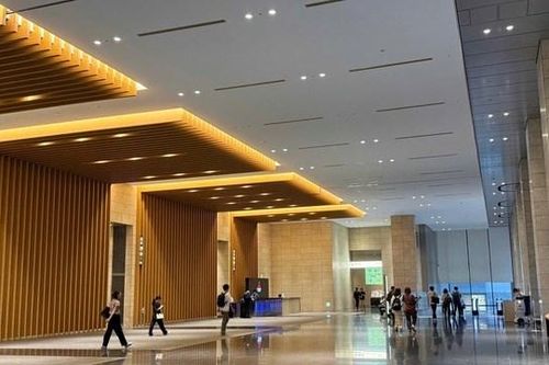 AI định hình xu hướng việc làm của thanh niên