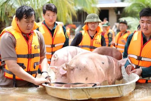 Đồng Nai chủ động ứng phó với mưa lớn, ngập úng và sạt lở đất