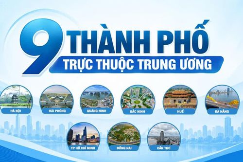 [Infographic] Tổng quan về 9 thành phố trực thuộc Trung ương