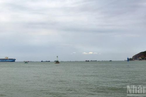 Thành phố Hồ Chí Minh: Giao 49ha vùng biển ngoài khơi Vũng Tàu để nhận chìm chất nạo vét