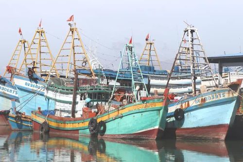 TPHCM yêu cầu hoàn thành triển khai hệ thống eCDT cho tàu cá trước ngày 30-10