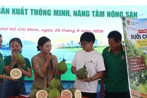 TPHCM: Nông dân thi livestream quảng bá, bán nông sản
