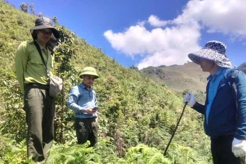 Ban Quản lý Khu bảo tồn thiên nhiên Mường La nỗ lực để những cánh rừng mãi xanh