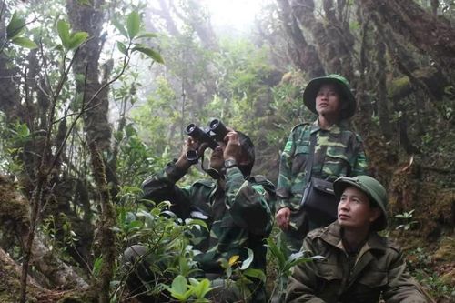 Ban Quản lý Khu bảo tồn thiên nhiên Mường La nỗ lực bảo vệ động vật quý hiếm