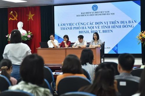 BHXH Hà Nội kiểm soát chậm đóng, ngăn ngừa trục lợi quỹ bảo hiểm