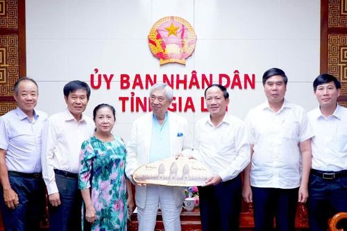 Giáo sư Cổ Minh Đức đề xuất dự án Trung tâm Thể thao - Sức khỏe tại Gia Lai