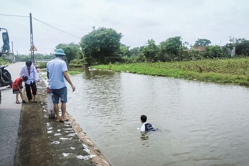 Nam sinh Ninh Bình cứu 2 em nhỏ chới với dưới sông: 'Em không biết bơi'