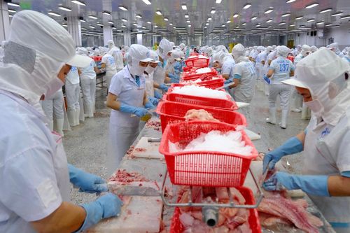 4 công ty ở Cà Mau bị thanh tra, đề nghị Giám đốc Sở xử lý 3 doanh nghiệp