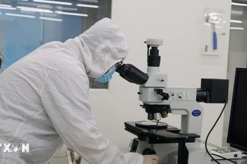 TP Hồ Chí Minh: Xây dựng hệ sinh thái đồng bộ thu hút nhân lực chất lượng cao
