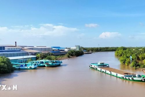 Cà Mau: Gỡ vướng vốn, đất đai, thị trường để khu vực kinh tế tập thể phát triển
