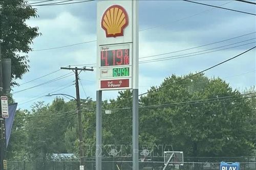 EU mở chiến dịch ngoại giao nhằm ngăn Tổng thống Trump cấm xuất khẩu dầu diesel
