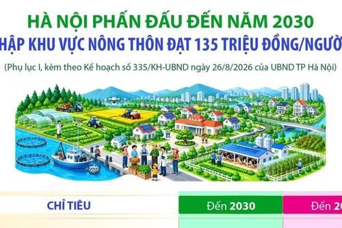 Hà Nội phấn đấu thu nhập khu vực nông thôn đạt 135 triệu đồng/người/năm