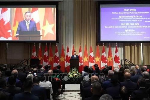 Tổng Bí thư, Chủ tịch nước Tô Lâm: Việt Nam sẵn sàng cùng Canada xây dựng quan hệ Đối tác Chiến lược có chiều sâu