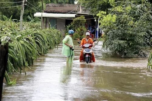 Lâm Đồng kiểm tra khẩn các khu vực thiệt hại nặng do mưa lũ