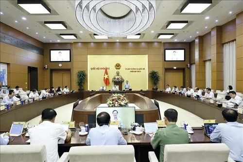 UBTV Quốc hội cho ý kiến về dự án Bộ luật Hình sự (sửa đổi)