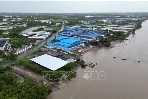Cà Mau: Mưa lớn, lốc xoáy kéo dài gây thiệt hại diện rộng
