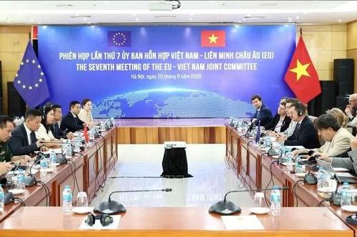 Việt Nam - EU tổ chức Phiên họp Ủy ban hỗn hợp lần thứ 7​