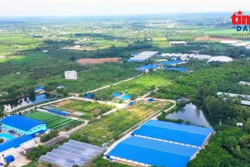 TP Hồ Chí Minh đẩy mạnh ứng dụng công nghệ trong sản xuất nông nghiệp