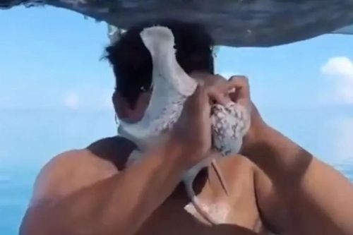 Ngư dân bất ngờ bị bạch tuộc tấn công trên biển