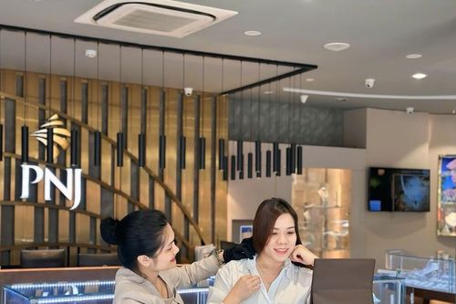 PNJ bước vào giai đoạn tái thiết, dự kiến huy động tối đa 8.000 tỷ đồng